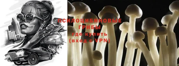 ГАЛЛЮЦИНОГЕННЫЕ ГРИБЫ Армянск