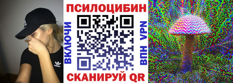 кракен рабочий сайт Валдай Галлюциногенные грибы Psilocybe